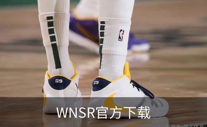 WNSR官方下载品牌故事
